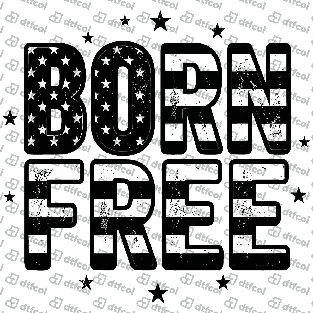 4th of July - Distressed Born Free Flag