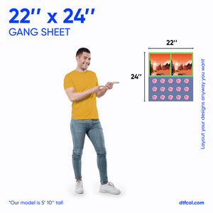 Man pointing to a graphic of a 22" x 24" gang sheet with a person on it, on a white background.